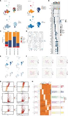 Decoding the tumor microenvironment and molecular mechanism: unraveling cervical cancer subpopulations and prognostic signatures through scRNA-Seq and bulk RNA-seq analyses